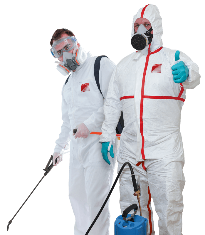 Pest Control Businesses
